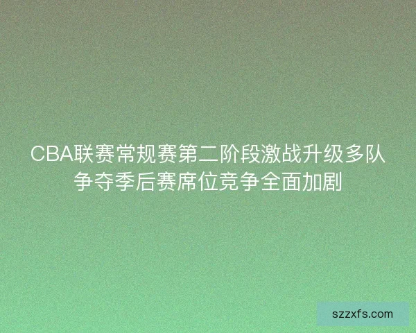 CBA联赛常规赛第二阶段激战升级多队争夺季后赛席位竞争全面加剧